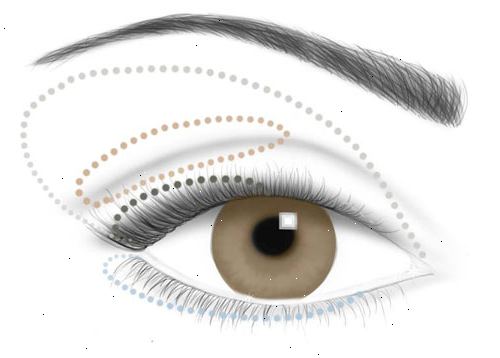 Hvordan søke stor makeup for brune øyne. Påfør noen form for øye primer over hele øyet.