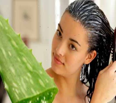 Hvordan tilstanden håret med aloe vera. Skjær to eller tre store, tykke blader fra aloe planten.