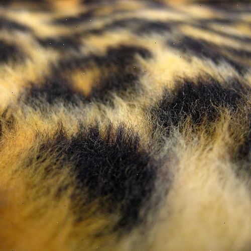 Hvordan fortelle forskjellen mellom ekte pels og fuskepels. Stikke en nål inn i elementet (gjennom pelsen og foret).