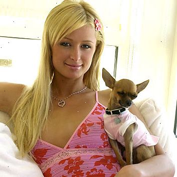 Hvordan bli inspirert av Paris Hilton. Det kan være lurt å bli en blond!